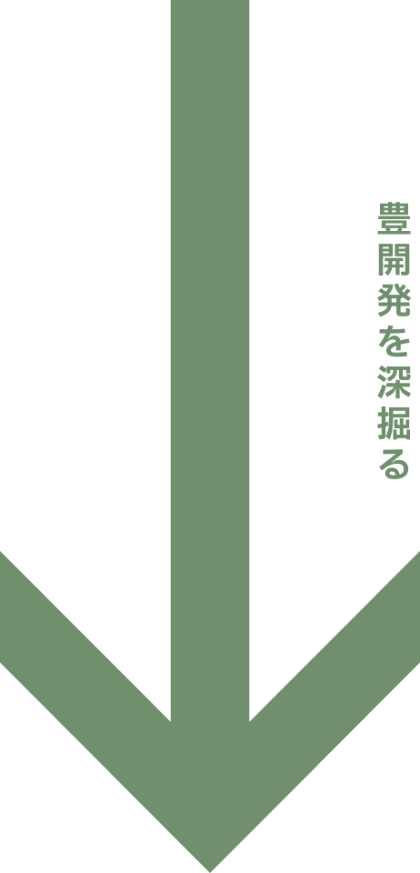豊開発を深ぼる